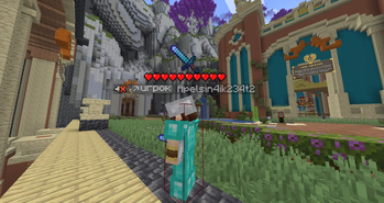 Displaying a single item above the player's head
