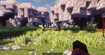 Fervente´s Life Hearts