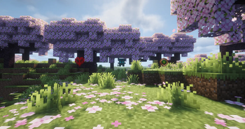 Fervente´s Life Hearts