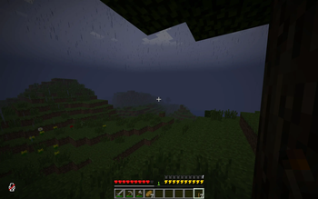 The Rain