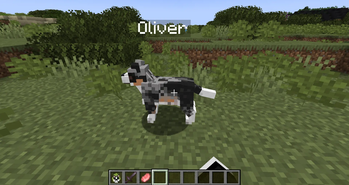 Oliver
