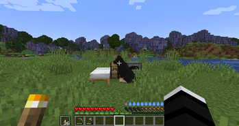 Survival with dog