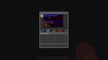 Item limiter GUI