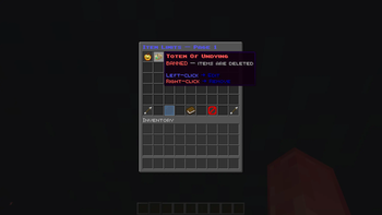 Item limiter GUI