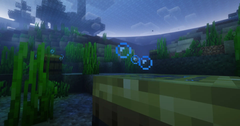 A few fishing crates laying under water gathering loot.