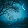 Nighty
