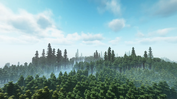 Towering Trees 