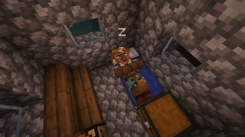 Villager Sleeping Zs