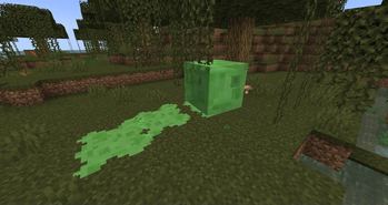 Slime trails
