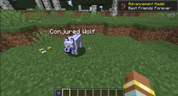 The Conjured Familiar spell in action