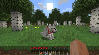 Transfer Pet