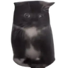 PaytonTheAlien