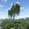 Big Birch Tree