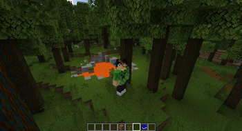 Flow Cedar Biome