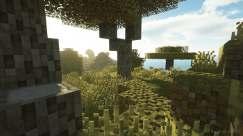Pixora
