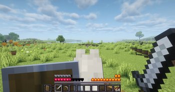 Hud On Horse