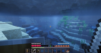 Hud Under Water