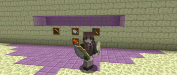 This is two Crystal Wings held by the player (Holding two wings is not usefull but dam does it ever looks cool)