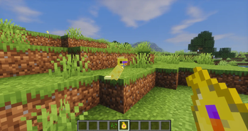 Shaders