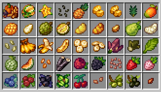 Fresh Fruit