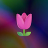 Flowers Plus