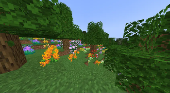 A lot of new flowers together!