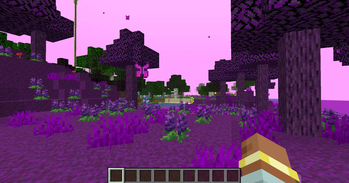 Lupine Groove!