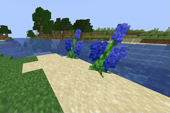 Dark Blue Larkspur