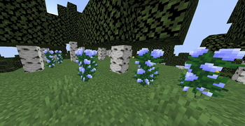 Hortensia