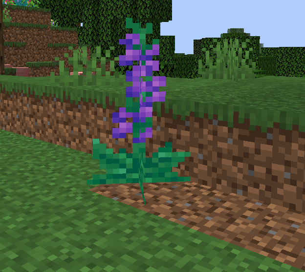 Purple Larkspur