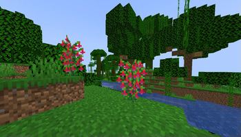 Fuschia