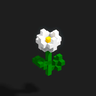 Flowers 3D