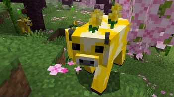PeakMC