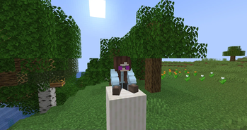sillvia