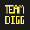 Icon for TeamDiG MC Development
