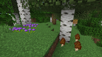 Viola flowers and Morel Mushrooms