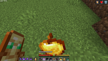 Small gapple