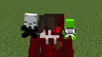Supports Custom Cosmetics