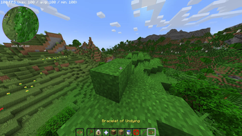 Invisible in 1st person