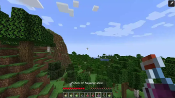 Potion cooldown
