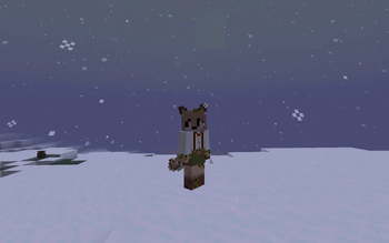 custom player model