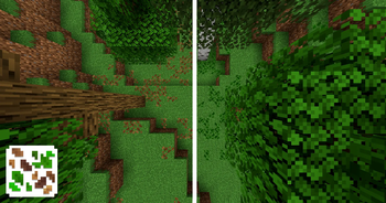 before/after