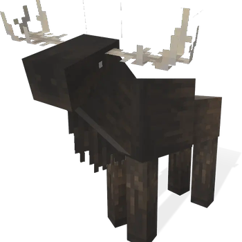 Elk