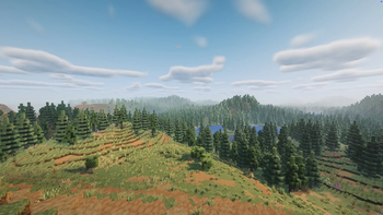 A warm forest