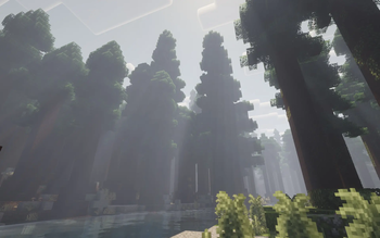 Godrays in a forest
