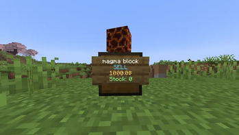 Image of a Chestshop