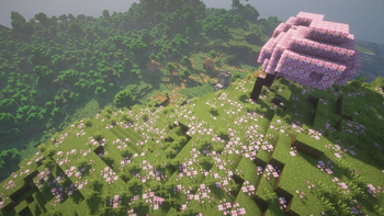 BSL Shader - Cherry Village