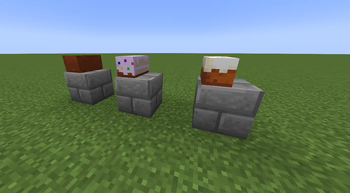 Cakes