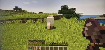 message and sheep mechanics 