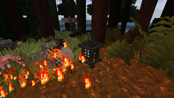 An abura akago about to chow down on a lantern